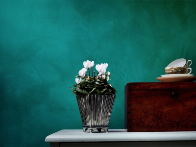 <br />
<b>Notice</b>:  Undefined index: gallery in <b>/home/prattashop/domains/prattashop.com/public_html/design/templates_c/b9004b1d0ee26c3898f2dc30e300da8da92a9195_0.file.single.tpl.php</b> on line <b>127</b><br />
